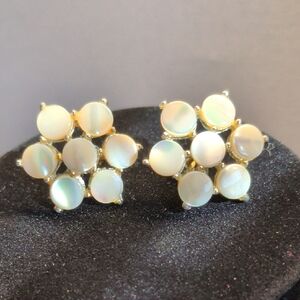 Vintage Mother Of Pearl Screw Back Earrings